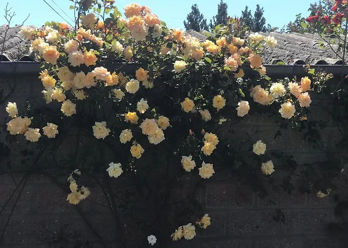 La Grange - Unique Property, Peace, Space & Light