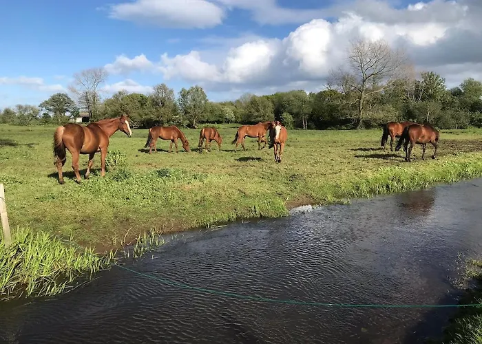 Ferienhaus La Grange - Unique Property, Peace, Space & Light