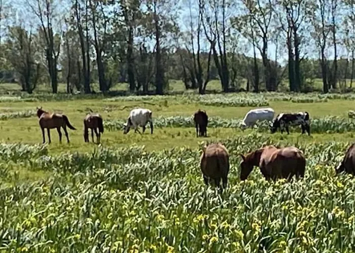 La Grange - Unique Property, Peace, Space & Light Ferienhaus Réville